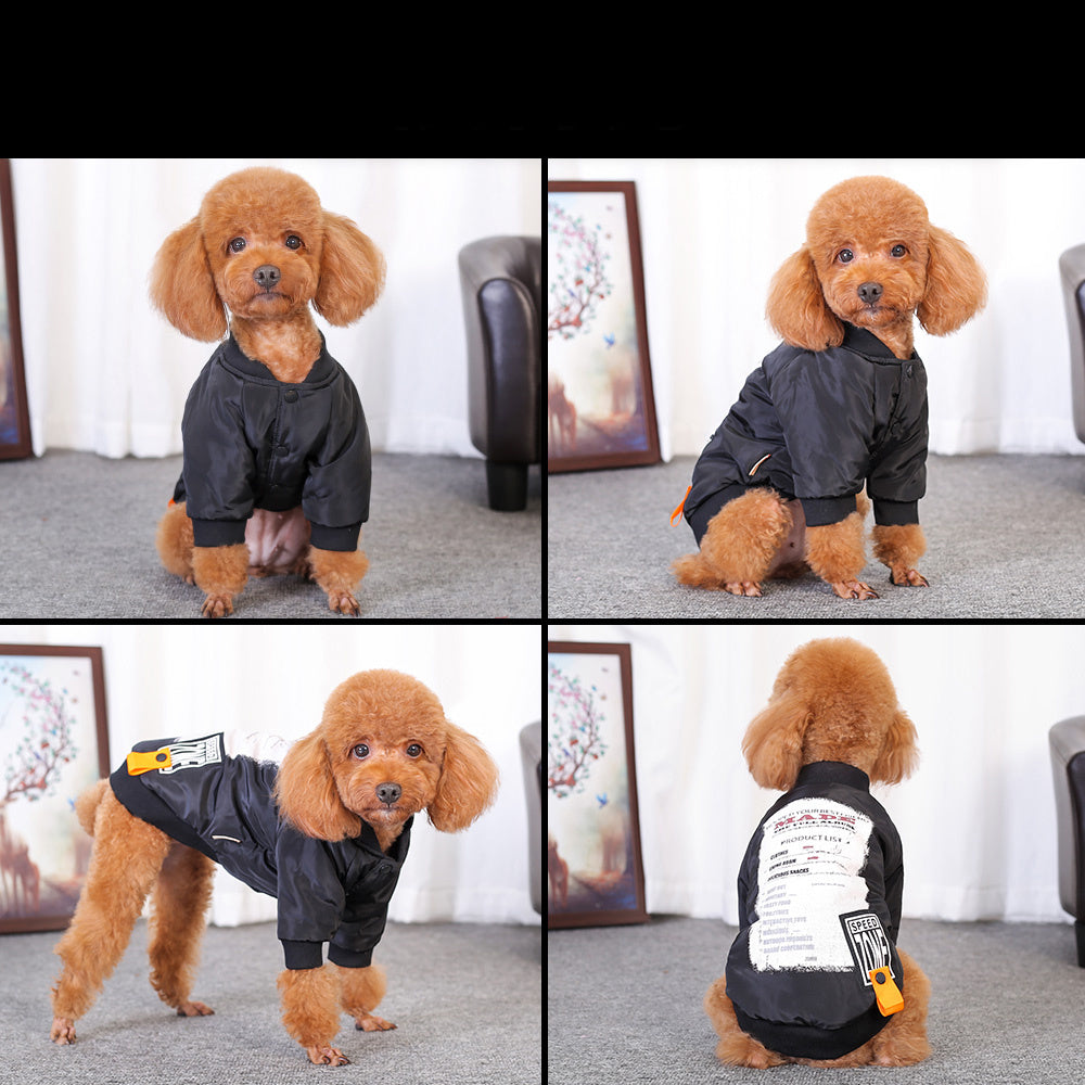 Dog clothes winter