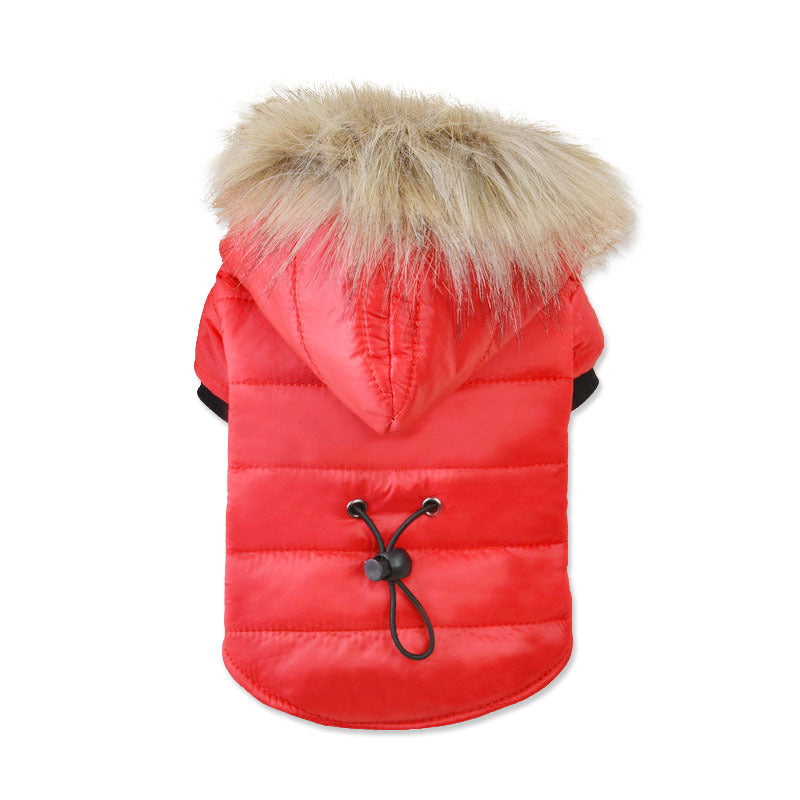 Pet light and warm cotton clothing