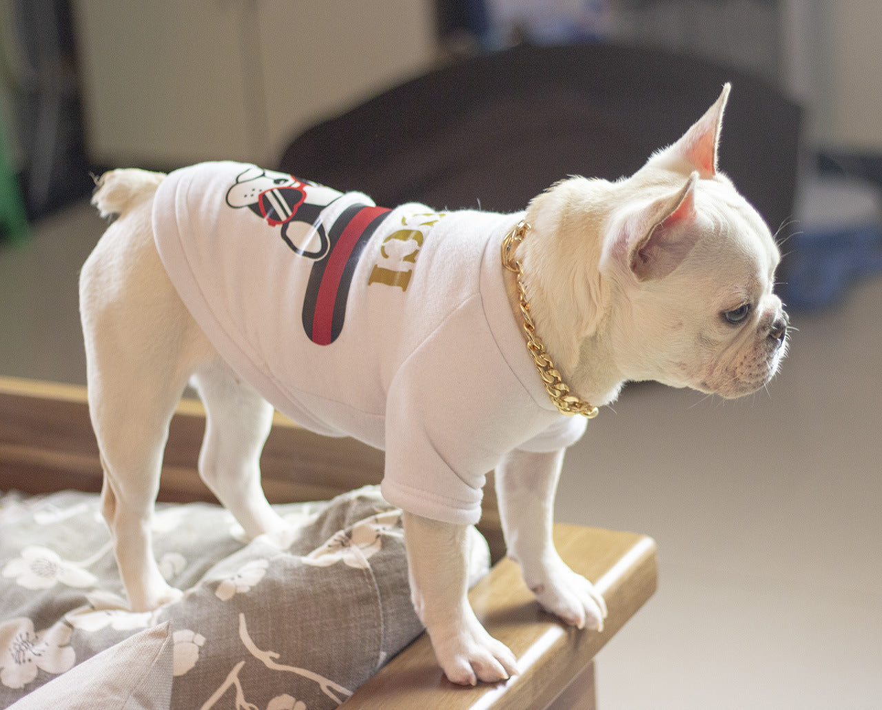 Dog metal big gold chain