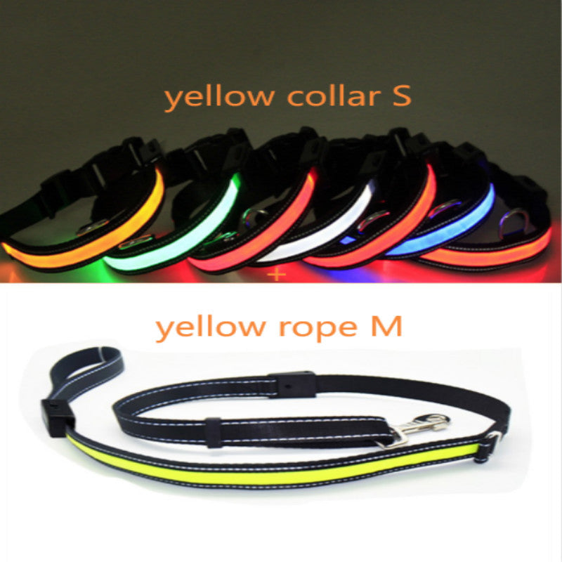Fluorescent dog collar
