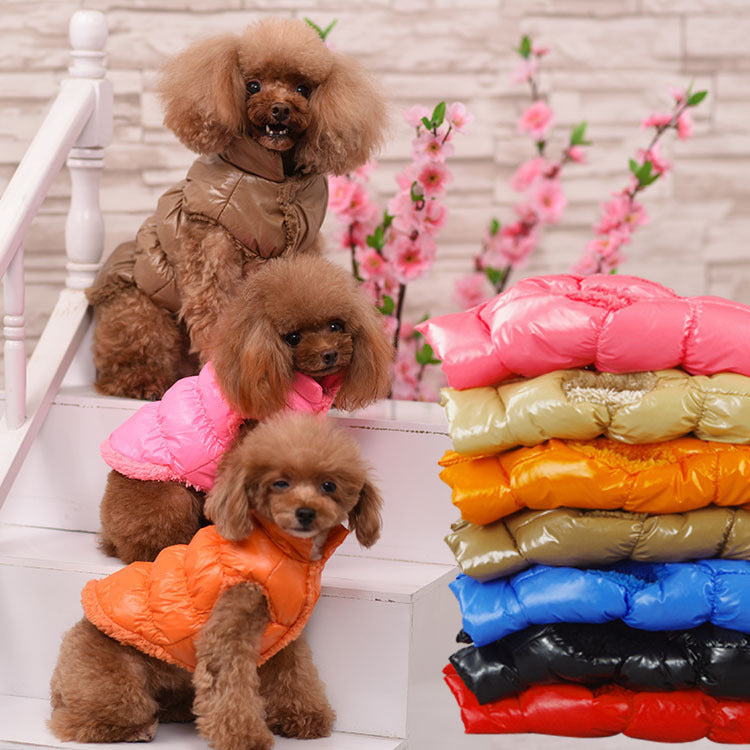 Puppy dog cat Teddy cotton vest