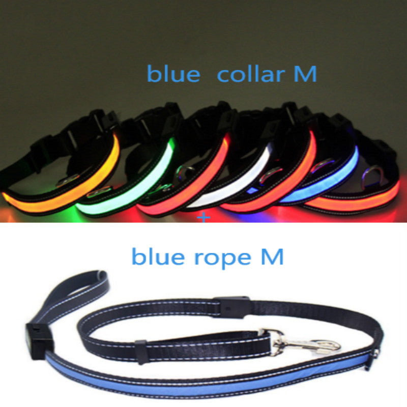 Fluorescent dog collar