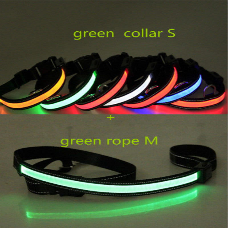 Fluorescent dog collar