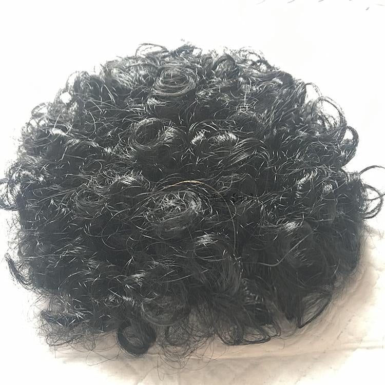 Pet dog and cat turned wig