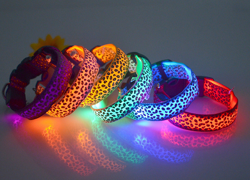 Rechargeable LED Dog Band