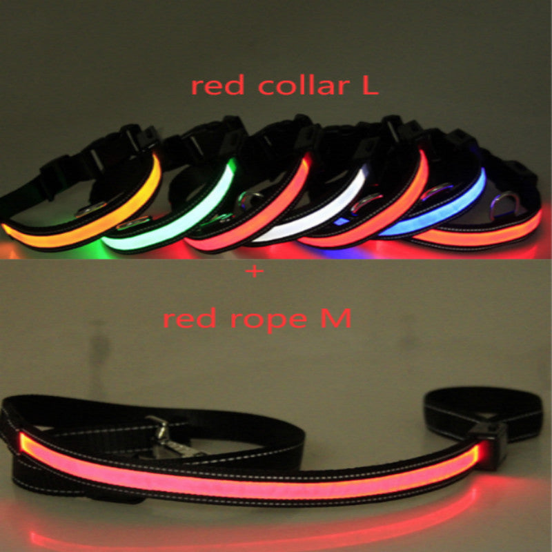 Fluorescent dog collar