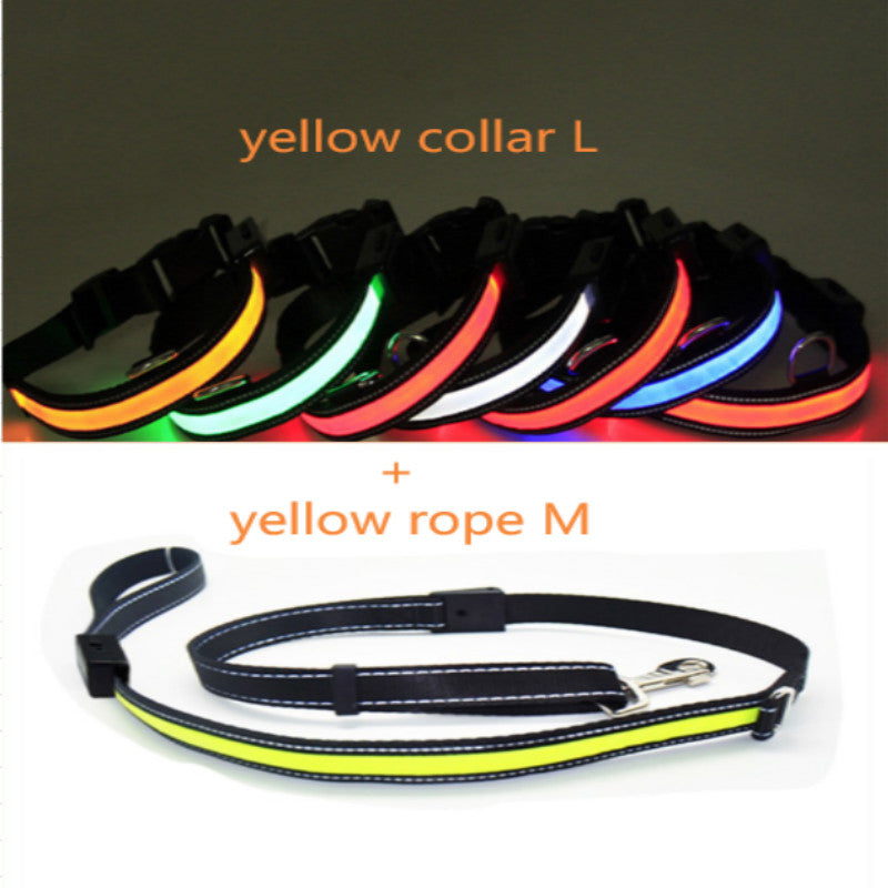 Fluorescent dog collar