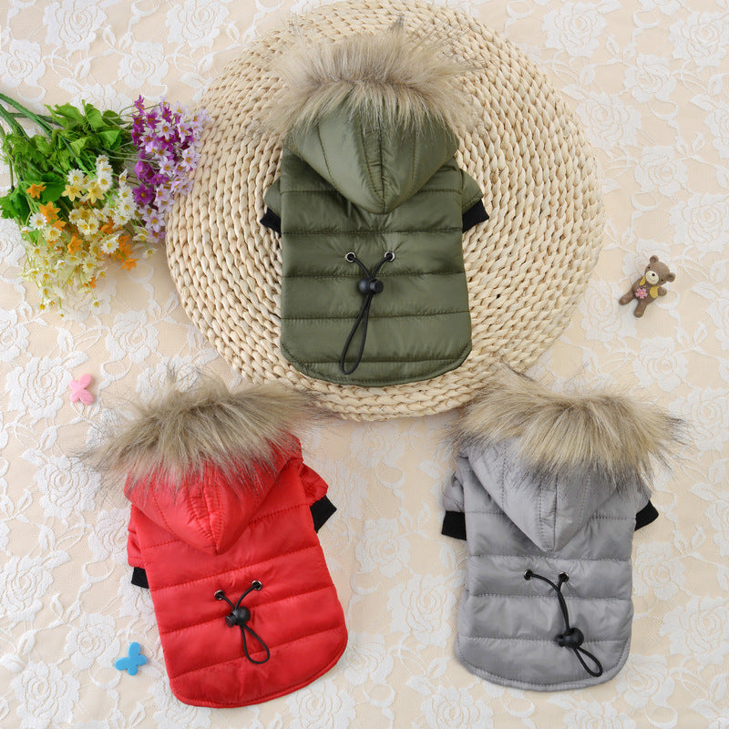 Pet light and warm cotton clothing