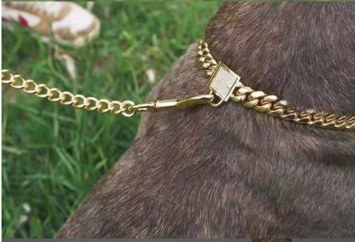 Pet dog collar stainless steel titanium steel gold encryption chain buckle dog chain