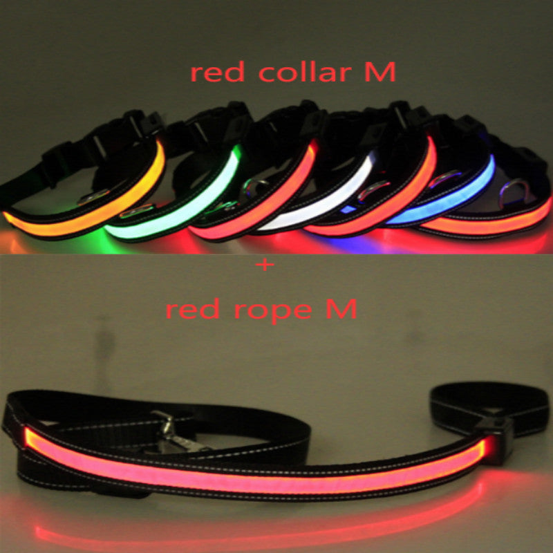 Fluorescent dog collar