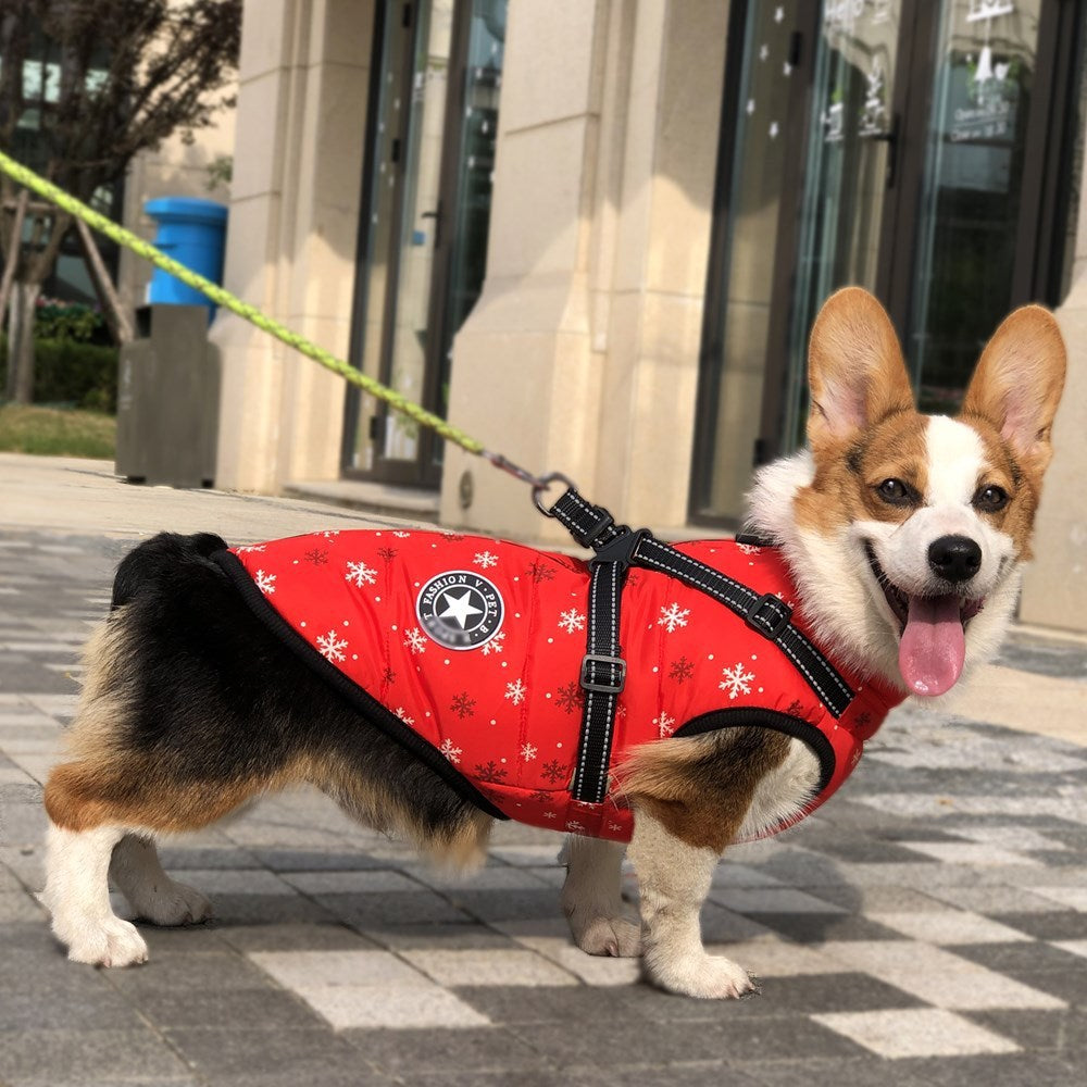 Autumn And Winter Clothing Warm Pet Clothing Waterproof Reflective Tape Chest Back Dog Cotton