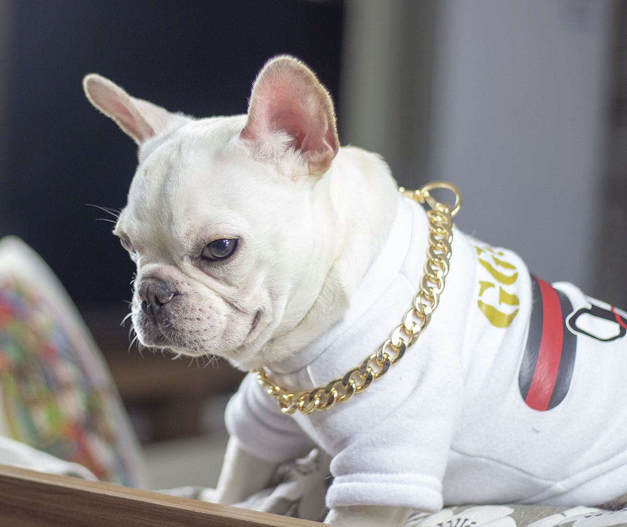 Dog metal big gold chain