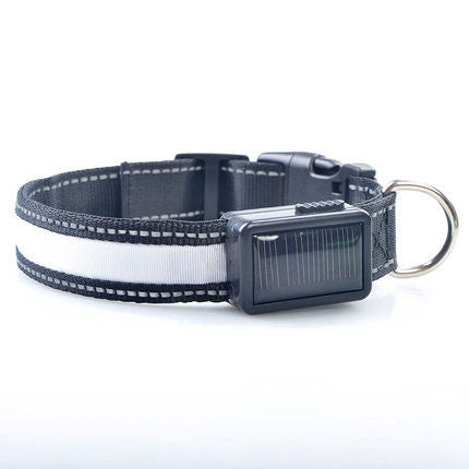 Led Solar Luminous Collar For Pet Dog