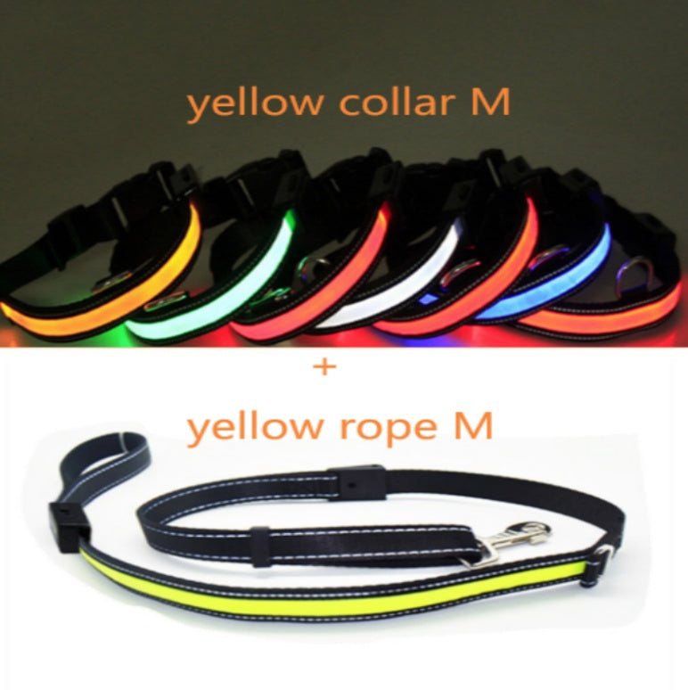 Fluorescent dog collar