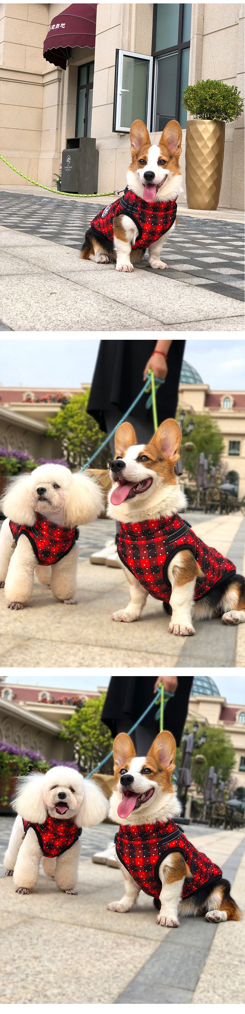 Autumn And Winter Clothing Warm Pet Clothing Waterproof Reflective Tape Chest Back Dog Cotton
