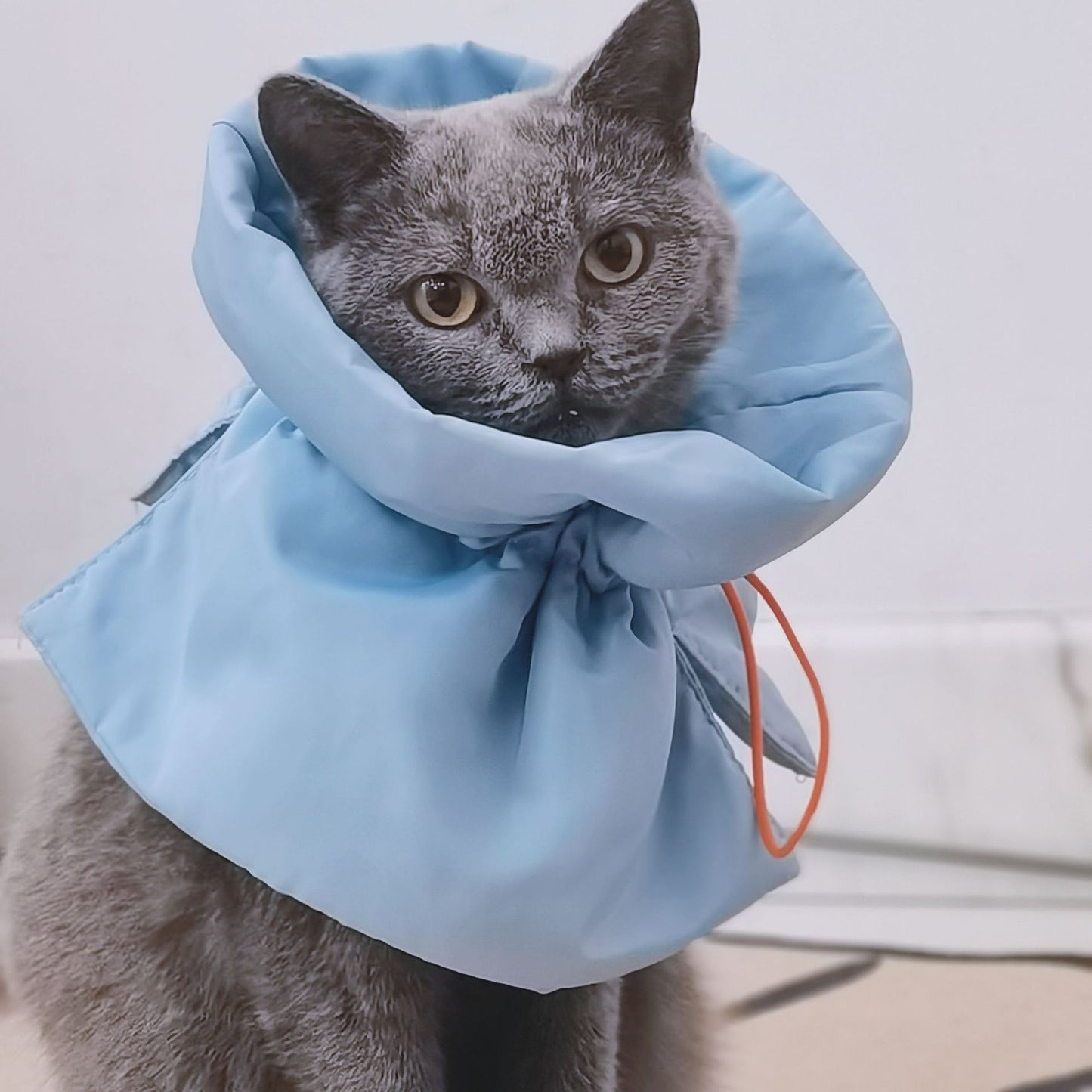 Cat Cone Adjustable Cat Cone Collar Soft Cat Recovery Collar Stop Licking For Small Large Cats Easy For Cats To Eat And Drink