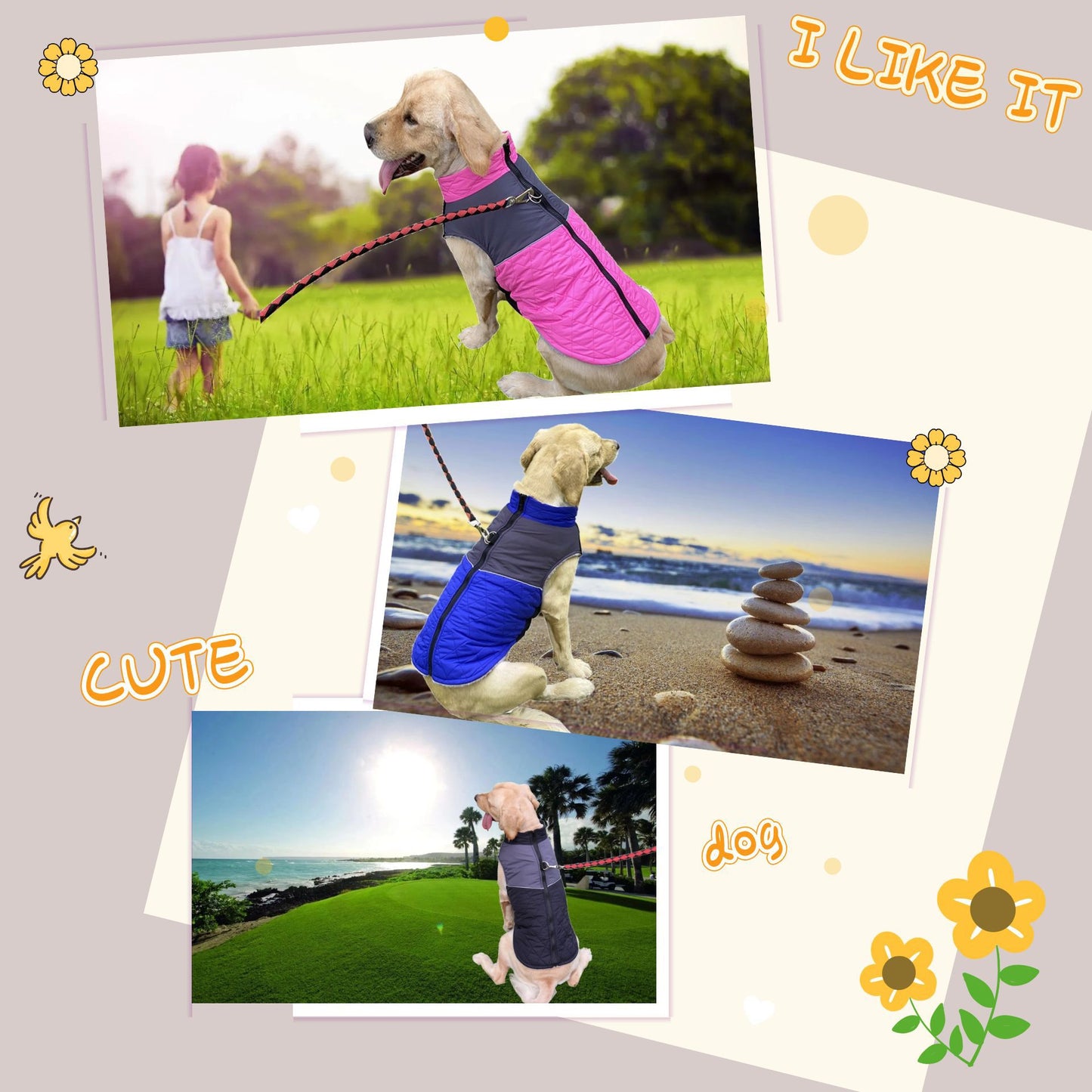 Chest Back Outdoor Pet Clothes Autumn And Winter Dog Clothes Waterproof