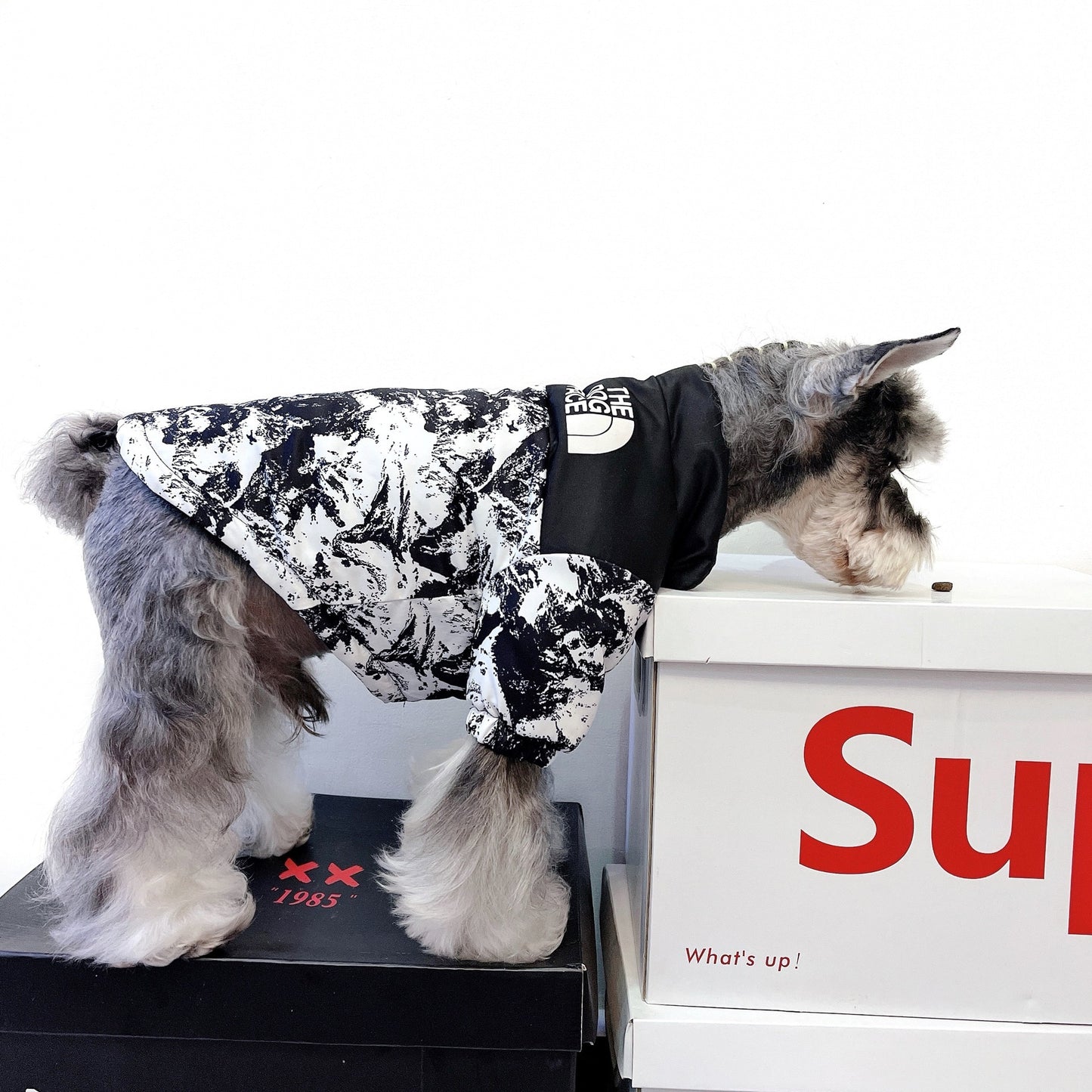 Tide Brand Snow Mountain Down Padded Jacket