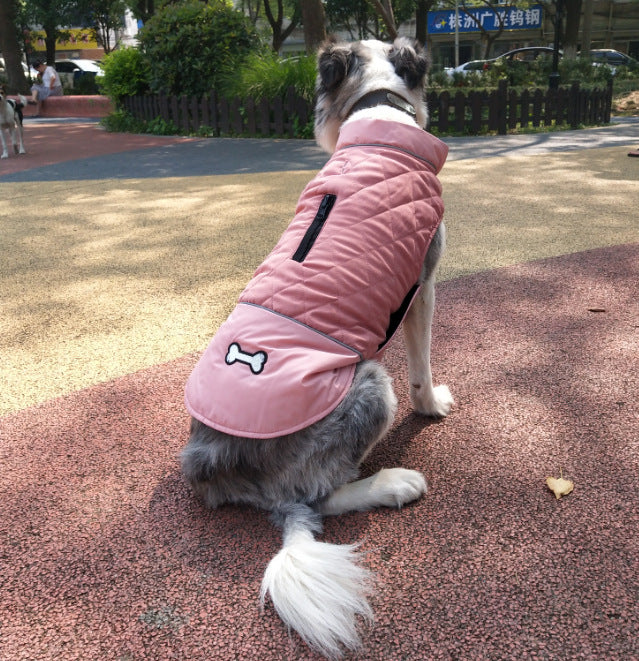 Fashion Autumn And Winter Outdoor Dog Clothes