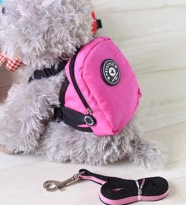 Small dog pet cat self backpack