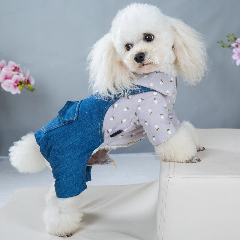 Four - legged Clothes Handsome British Dog Padded Clothes