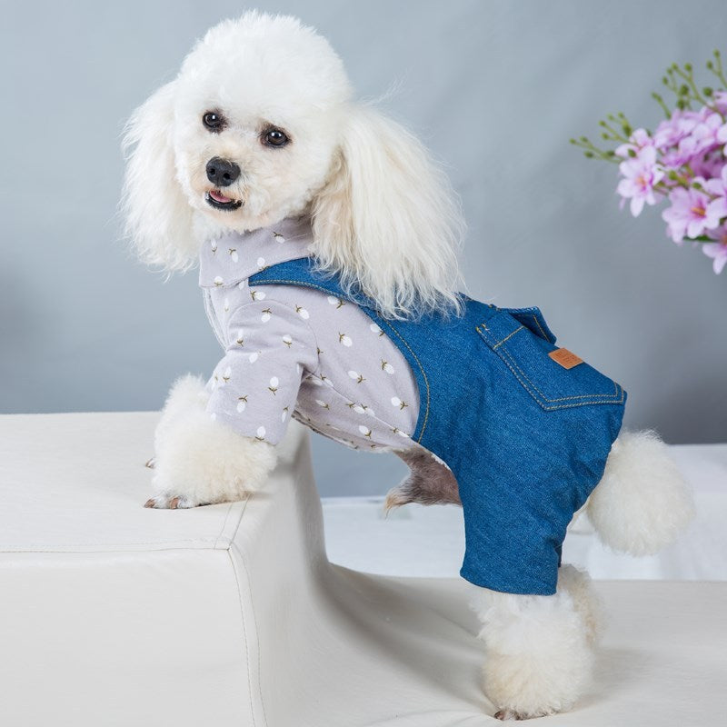 Four - legged Clothes Handsome British Dog Padded Clothes
