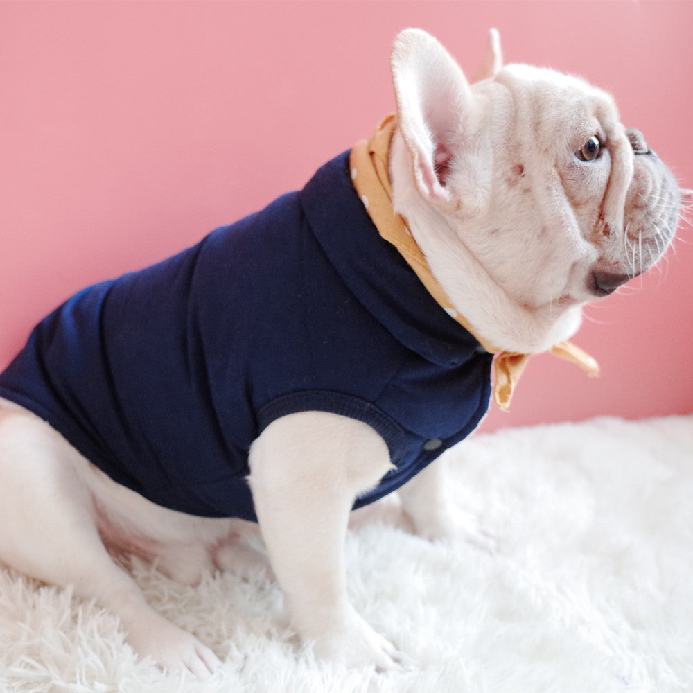 Pet Clothes, Dog Winter Clothes, Thickened Plus Velvet Vest, Warm Cotton Coat, Schnauzer