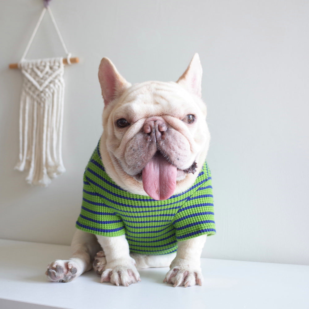 New Pet Clothes Dog Waffle Stretch Stripe Undercoat