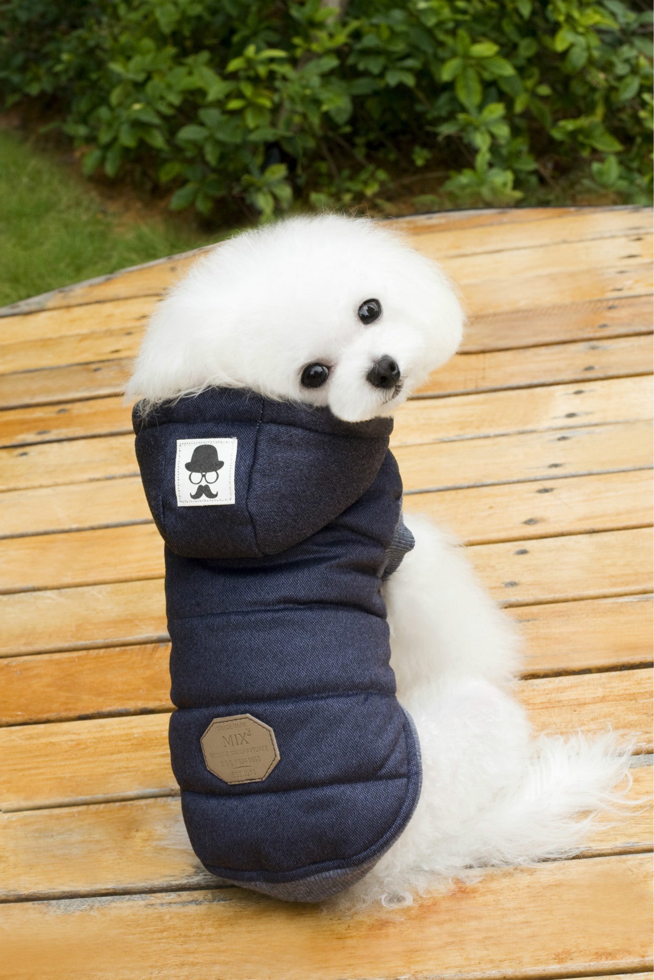 Teddy Pet Clothing Two-leg Cotton-padded Clothes