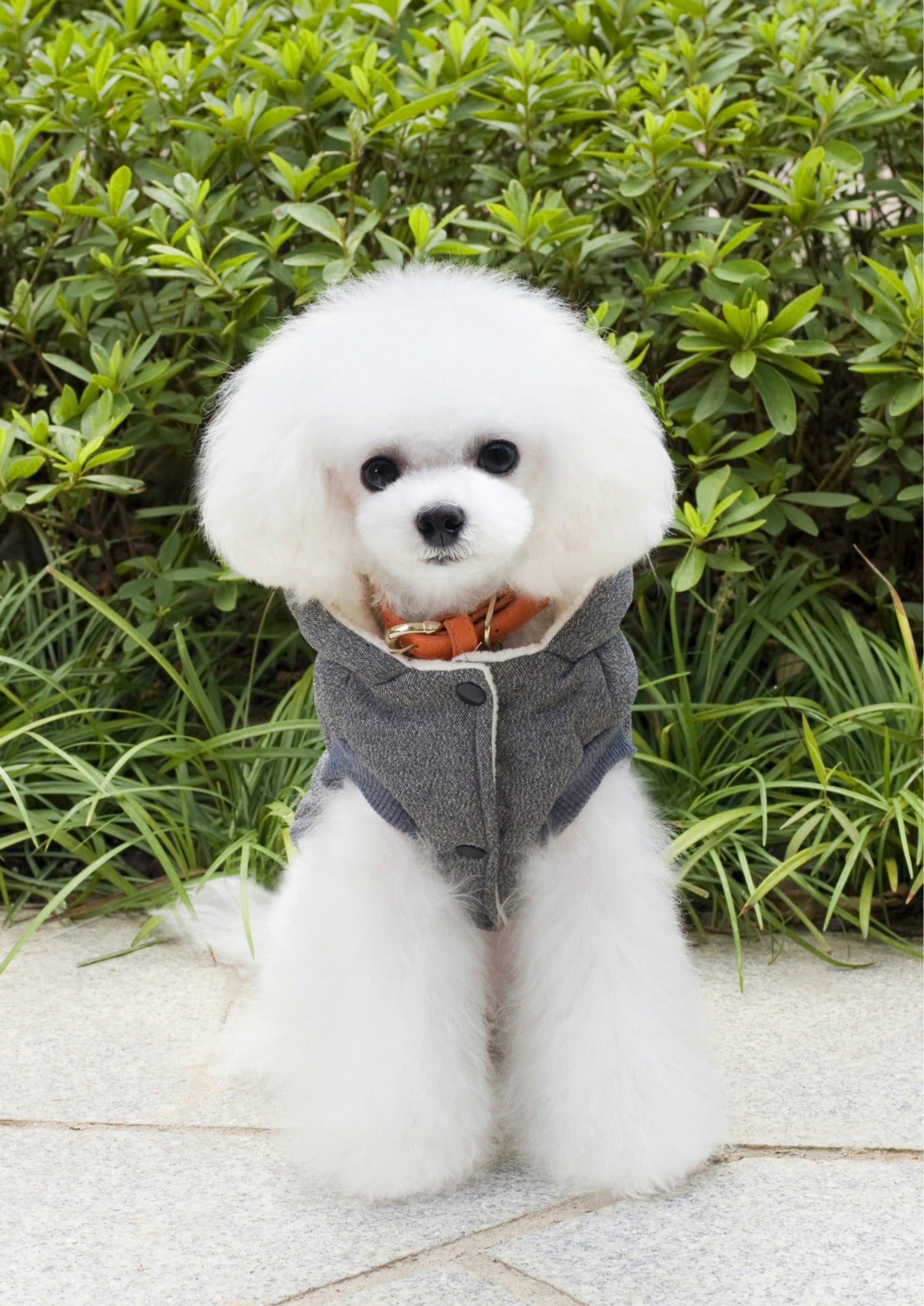 Teddy Pet Clothing Two-leg Cotton-padded Clothes