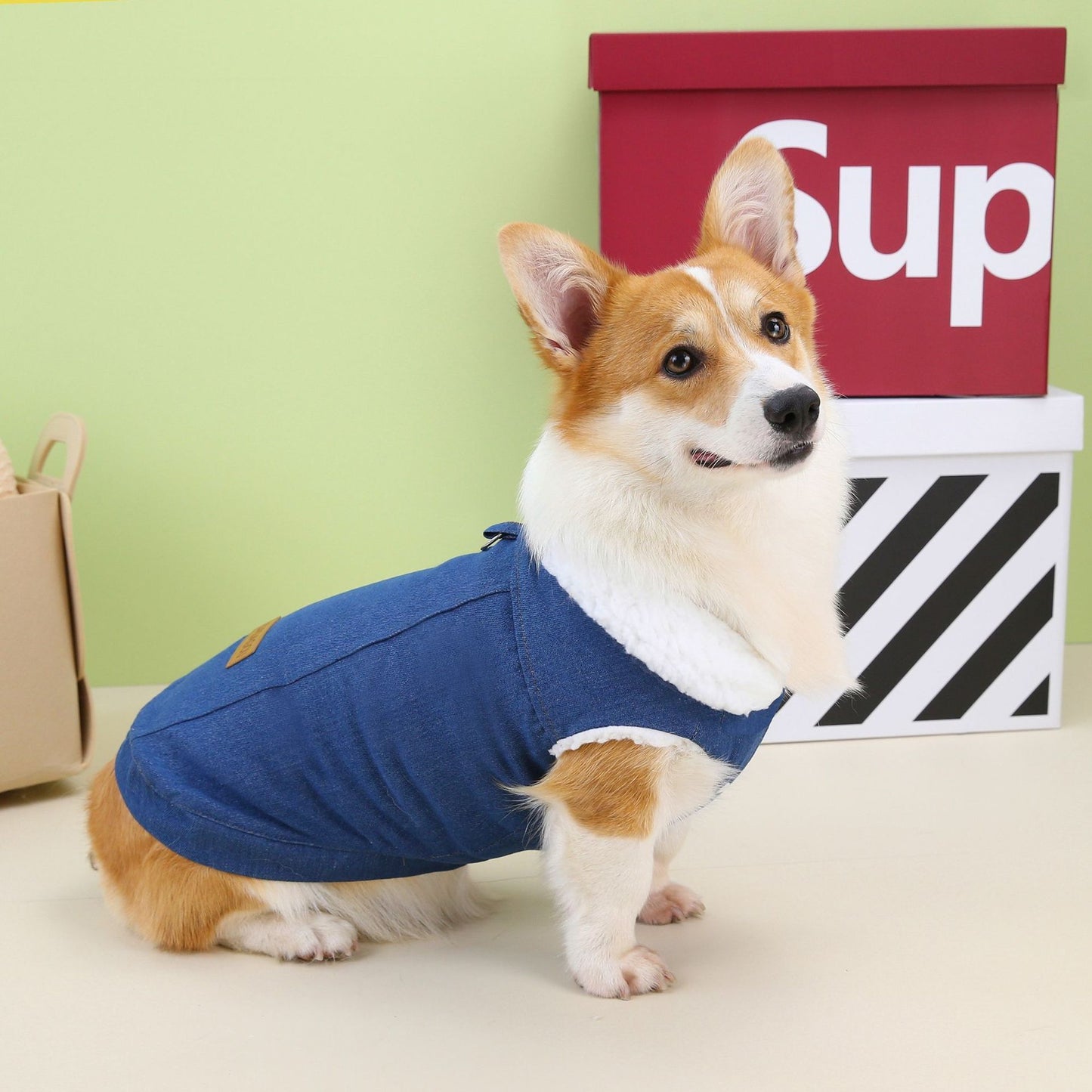 Corgi Dog Clothes Denim Cotton Coat