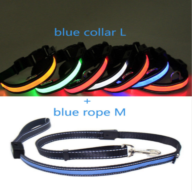 Fluorescent dog collar