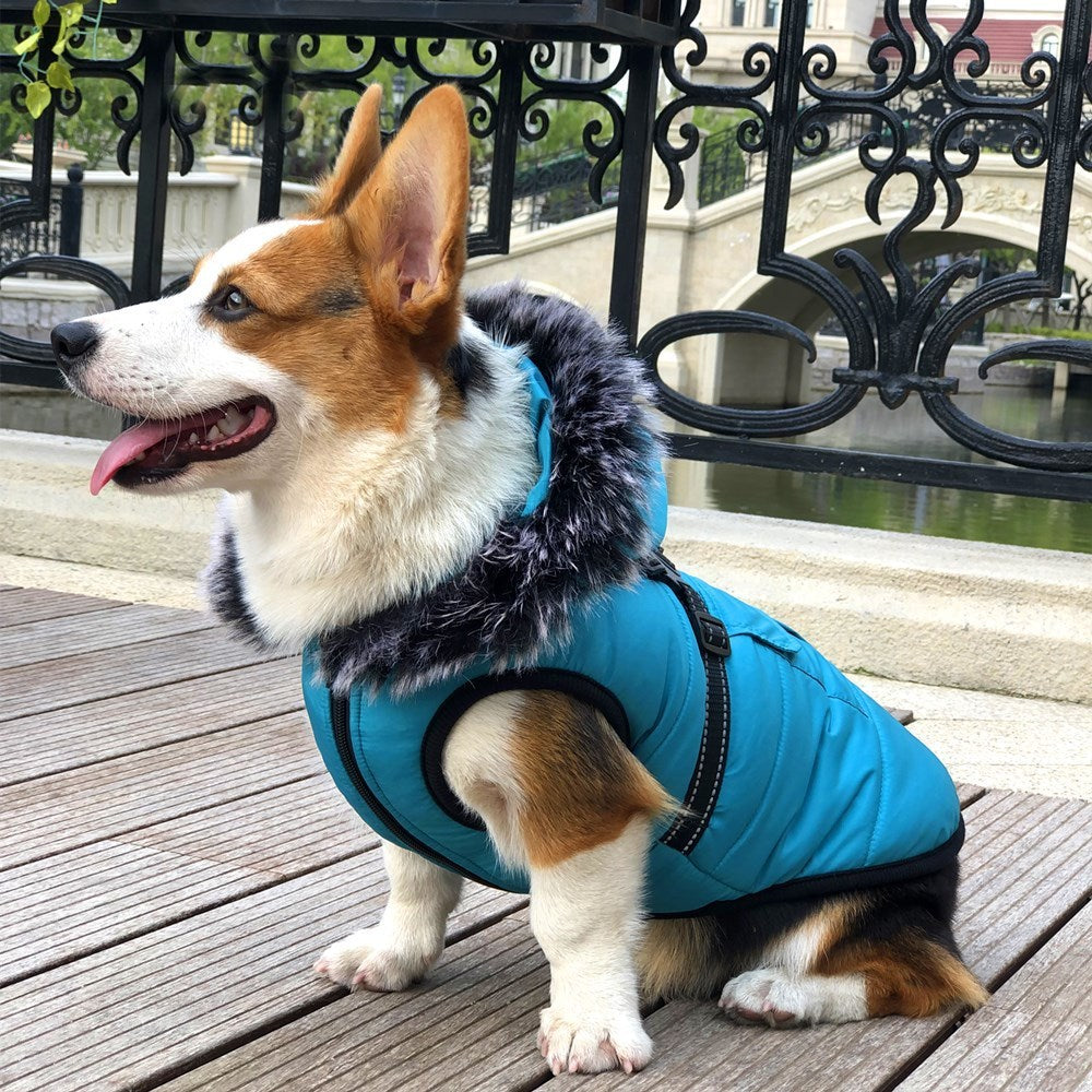 Thickened Winter Cotton Vest Warm Fur Collar