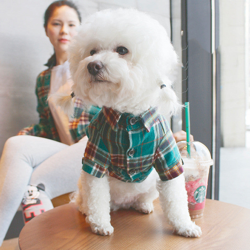 Pet clothes