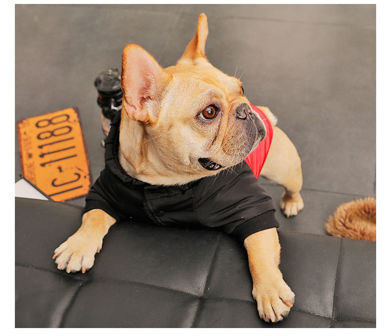 Small Pet Puppies Casual Winter Dog Padded Coat