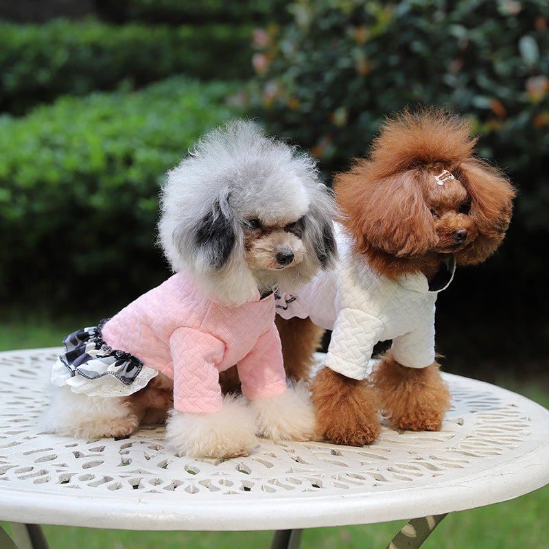 New Style Pet Clothes Cotton Skirt  Warm Dog Cotton Clothes