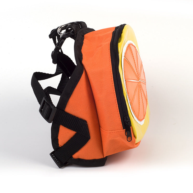 Pet out backpack