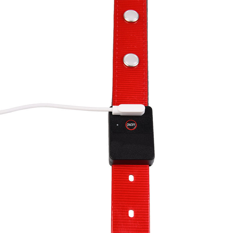 Luminous Waterproof Collar Adjustable Cat And Dog Collar