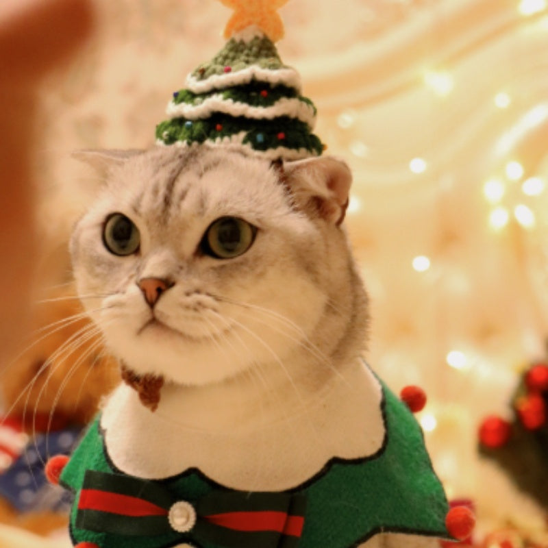 A Christmas Tree, Small Hat, Pet Cat