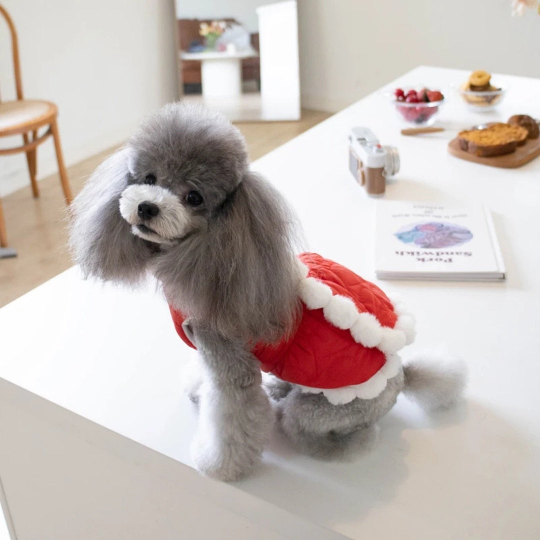 Pet Autumn And Winter Thickening Fur Collar Red Chinese Knot New Year Clothes