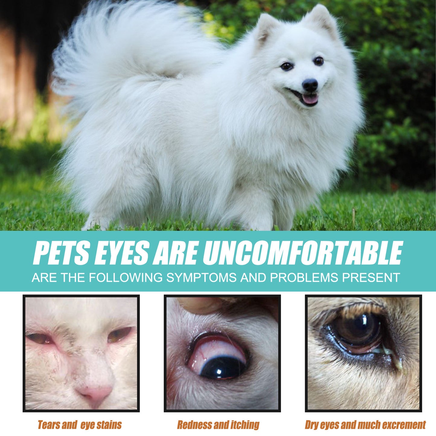 Pet External Eye Tear Stain SerumPoop Removal For Cats And Dogs