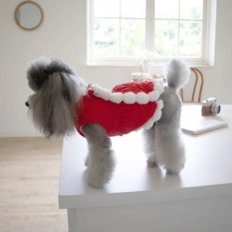 Pet Autumn And Winter Thickening Fur Collar Red Chinese Knot New Year Clothes